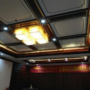 派格森吊顶DWL18005