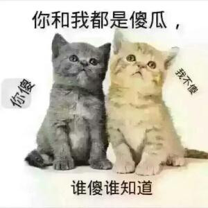 馨怡