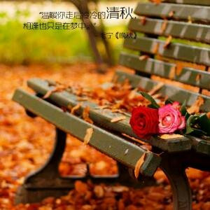 嘻嘻嘻