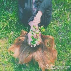 阳光洒满大地