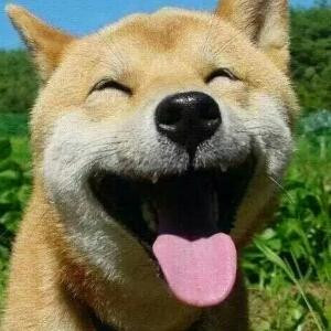 珏珄