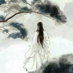 花洛离殇i