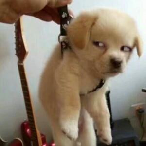 我家门前有位俏佳人