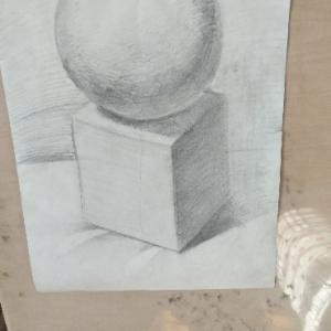 小骆驼