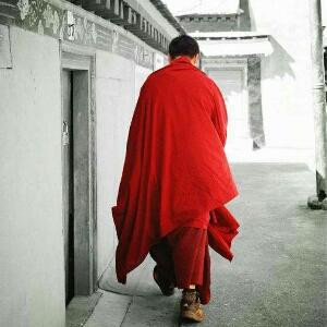 十年一品温如言