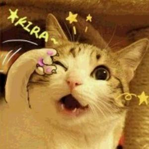 木板