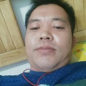 孤独的狼