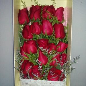 happy
