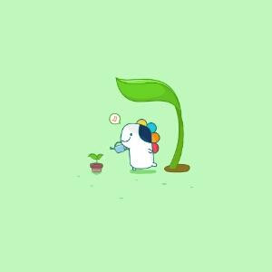 白芽儿