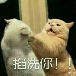 零零一