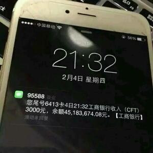 有钱就是任性