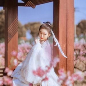菩提本无树