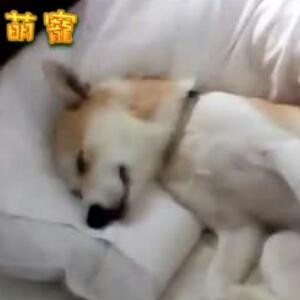 默默不复返