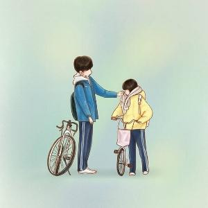 遇见草冬青