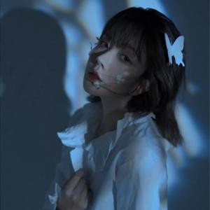 洛棂