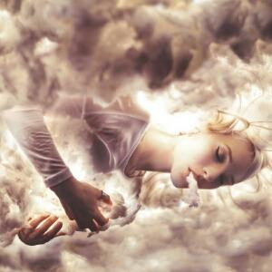 最是梧桐惹悲凉