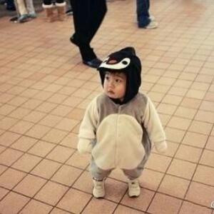 若是真真已成梦