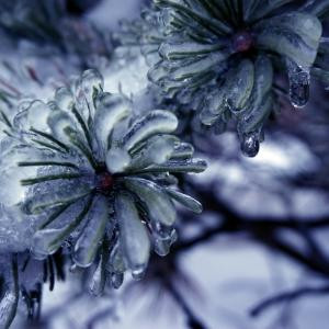 冰雪仙子