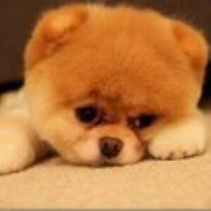 睡梦里，有太多夜空繁星