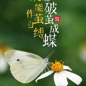 じ终究是戏