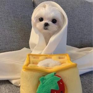 MrCyrus