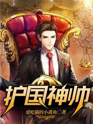 护国神帅