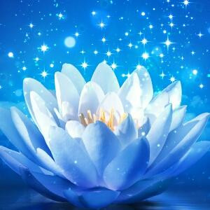 芳芳