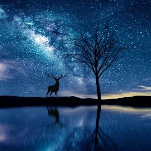 星空