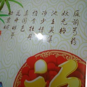 爱的世界
