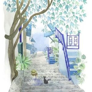 北巷有猫