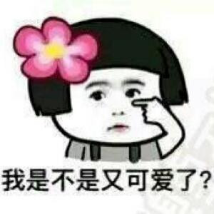 荧荧悦悦