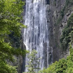 信金城