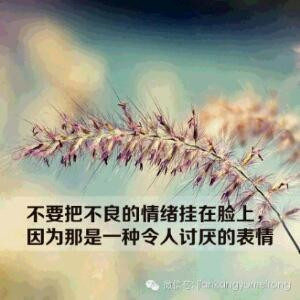亲亲