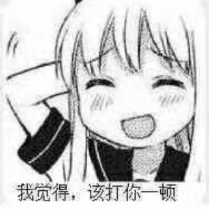 i16****3041