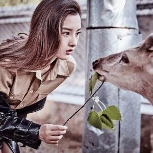 怅然入梦
