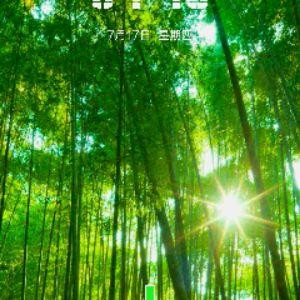 大风起兮云飞扬