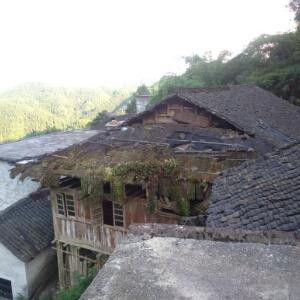 大大的大白鹅