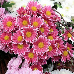 春暖花开
