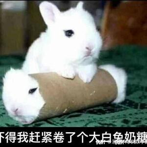 彼岸花开ぎ