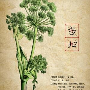 精打细算