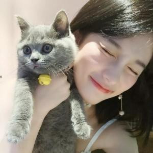 o尐懶猫o