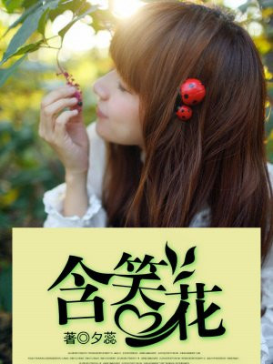 含笑花