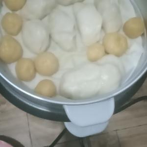 我的小鲜肉