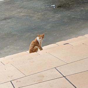 莫挨老子