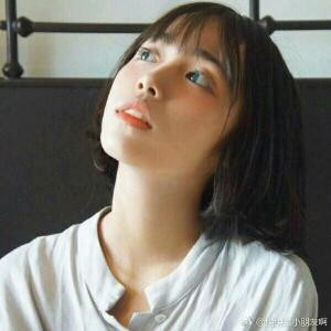 红豆