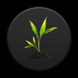 放飞梦想