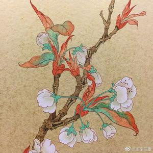李小米南京