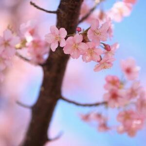 碧落黄泉