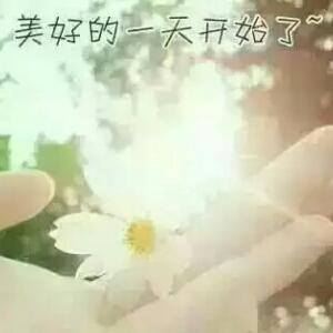 馨馨