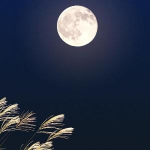 乄休闲灬逍遥游